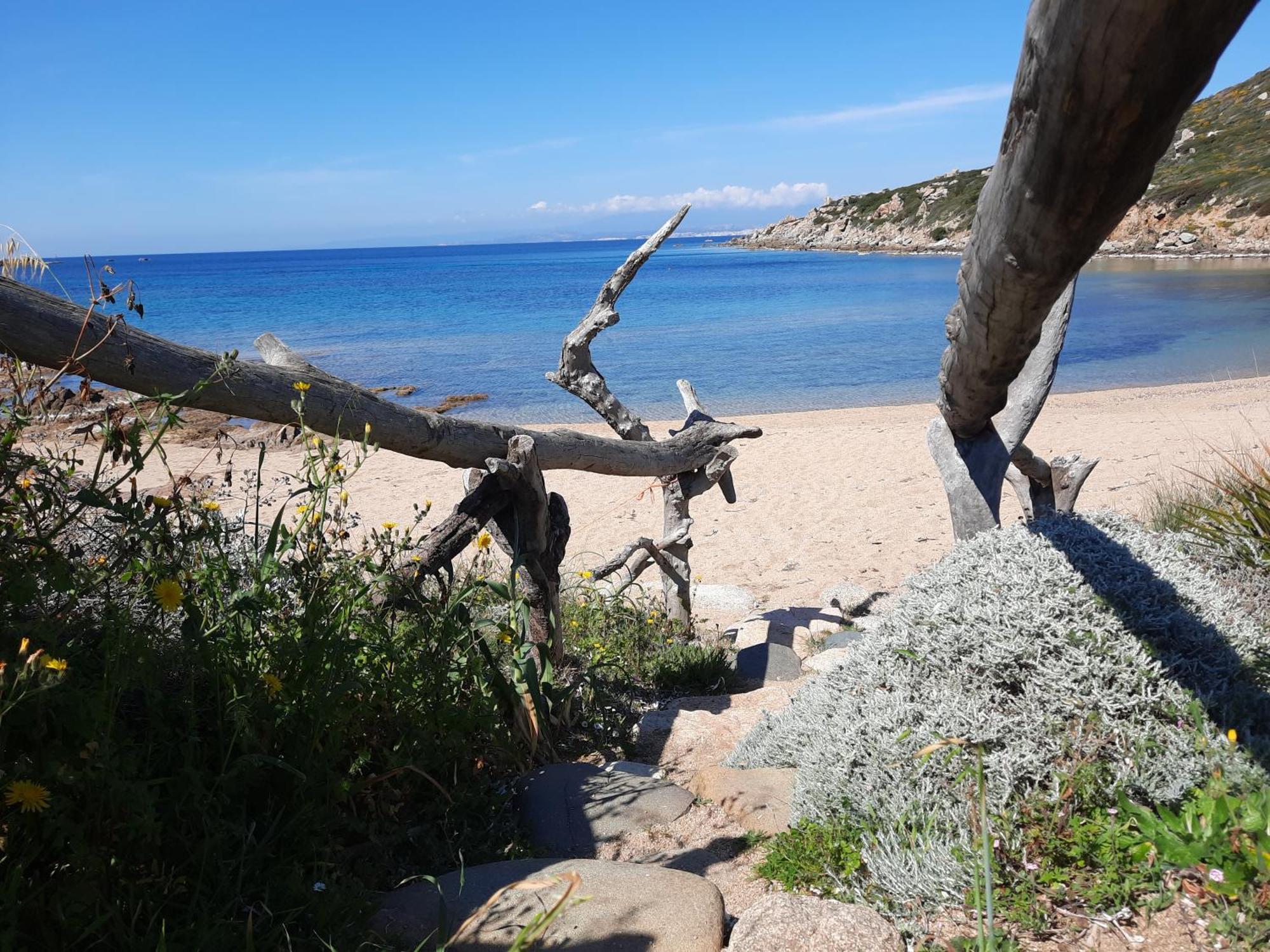 Le Residenze Desideri Di Gallura Santa Teresa Gallura Oda fotoğraf